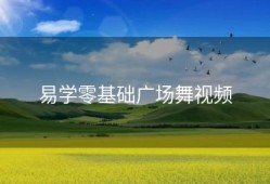 易学零基础广场舞视频