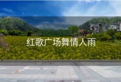 红歌广场舞情人雨