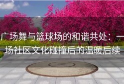广场舞与篮球场的和谐共处：一场社区文化碰撞后的温暖后续