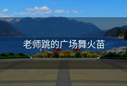 老师跳的广场舞火苗