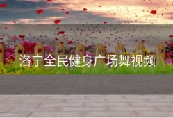 洛宁全民健身广场舞视频