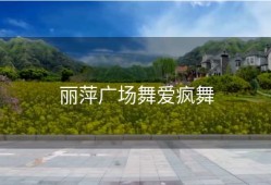 丽萍广场舞爱疯舞