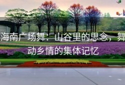 海南广场舞：山谷里的思念，舞动乡情的集体记忆