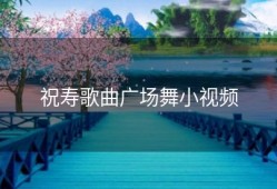 祝寿歌曲广场舞小视频
