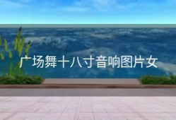 广场舞十八寸音响图片女
