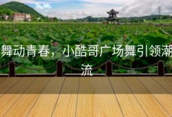 舞动青春，小酷哥广场舞引领潮流