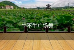 牛不牛广场舞