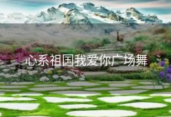 心系祖国我爱你广场舞