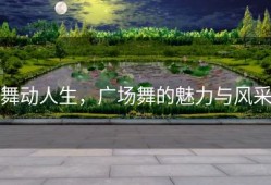 舞动人生，广场舞的魅力与风采