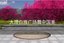 大理白族广场舞中国美