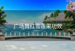 广场舞红雪莲果功效