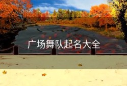 广场舞队起名大全