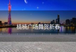 楠楠广场舞贺新春