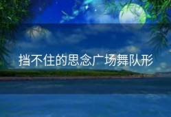 挡不住的思念广场舞队形