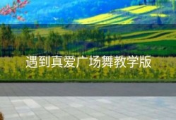 遇到真爱广场舞教学版