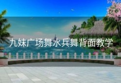 九妹广场舞水兵舞背面教学