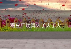 糖豆广场舞火了火了火