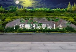 广场舞服装夏装上衣