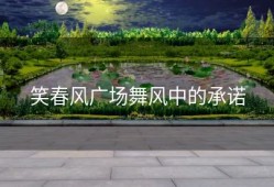 笑春风广场舞风中的承诺