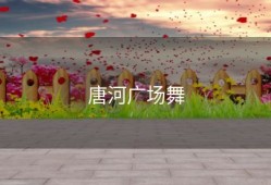 唐河广场舞