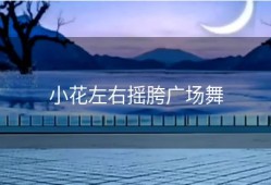小花左右摇胯广场舞