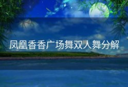 凤凰香香广场舞双人舞分解