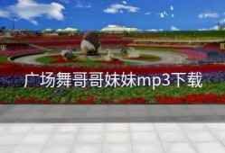 广场舞哥哥妹妹mp3下载