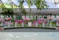 舞动人生：老朋友们的广场舞之旅