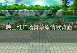 映山红广场舞草原情歌背面