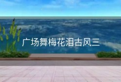 广场舞梅花泪古风三