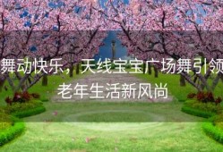 舞动快乐，天线宝宝广场舞引领老年生活新风尚
