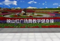 映山红广场舞教学健身操