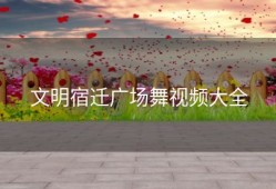 文明宿迁广场舞视频大全