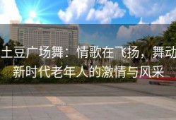 土豆广场舞：情歌在飞扬，舞动新时代老年人的激情与风采