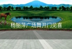 杨丽萍广场舞开门见喜