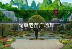 简单老苗广场舞