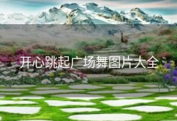 开心跳起广场舞图片大全