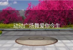 动动广场舞爱你今生