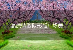 高原情歌队形版广场舞