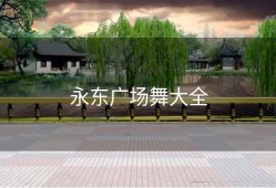 永东广场舞大全