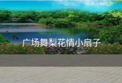 广场舞梨花情小扇子