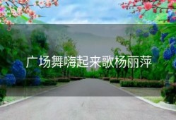 广场舞嗨起来歌杨丽萍