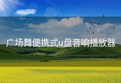 广场舞便携式u盘音响播放器