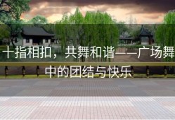 十指相扣，共舞和谐——广场舞中的团结与快乐