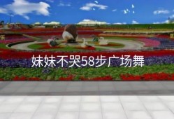 妹妹不哭58步广场舞