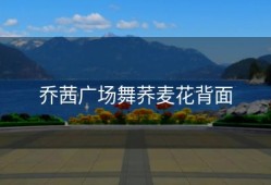 乔茜广场舞荞麦花背面