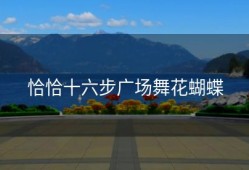 恰恰十六步广场舞花蝴蝶