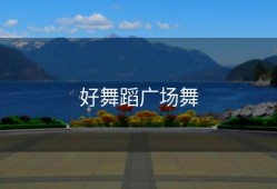 好舞蹈广场舞