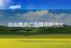 自由舞步广场舞花桥流水