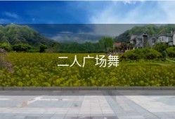 二人广场舞